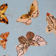 Inslee Persephone Linen Tablecloth | The Persephone linen block print tablecloth features Inslee Fariss’s watercolor butterflies on soft blue—elegant, airy, and perfect for relaxed gatherings.