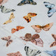 Inslee Celine Linen Tablecloth | This linen block print tablecloth features Inslee Fariss’s watercolor butterflies on crisp white—an airy, elegant choice for gatherings that feel special.