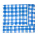 Blue block printed gingham rectangle tablecloth